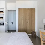 Acron Paros فيلة *